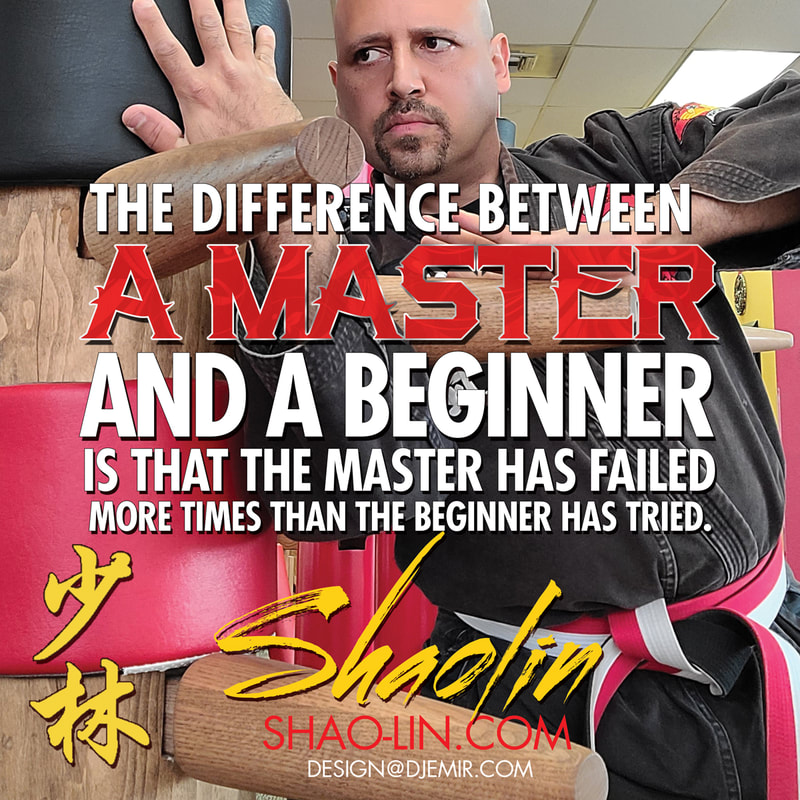 Shaolin Kung Fu Master has Failed More Times Than The Beginner Has Even Tried Meme Sr Master Emir Santana Wooden man